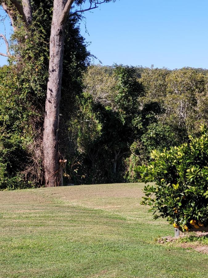 Jabiru Motel Nambucca Heads Exterior photo